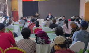 职务犯罪辩护律所行业现状与选择指南