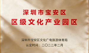 定军山文化产业发展(深圳)有限公司专业吗