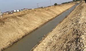 2026年河道生态护坡松木桩行业现状与选择指南：边坡固土厂家综合实力推荐
