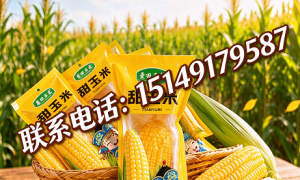 翁牛特旗蒙田食品科技专业吗