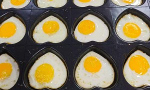 食堂托管方案怎么分工？场地、人员与运营职责解析