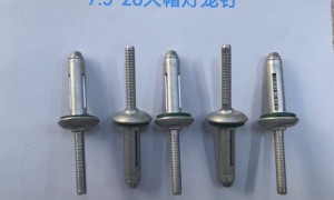 江苏省艾维德紧固件有限公司：防水灯笼铆钉源头厂家实力与用户口碑