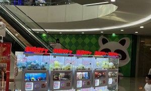 甘肃多经点位共享扭蛋机运营托管公司哪家好，省心不踩坑选择指南