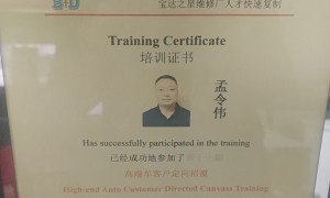 信阳迅维特斯拉专修中心行业现状与选择指南，车主实力参考