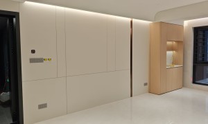 境城名匠装修专业吗，施工工艺水平如何