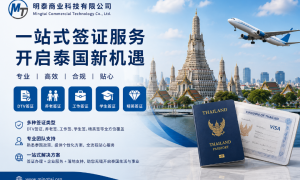 泰国明泰商业集团推出一站式签证服务  涵盖DTV签证、养老签及工作签证