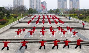 以拳会友,以扇抒情,以剑展艺,谷城湿地公园,太极盛宴,张晓宇,张俊平,王晓燕,谷城县太极拳协会,谷城汉江国家湿地公园,石少玲,宋寿学