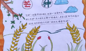 时逢芒种勤耕耘,节气育人润童心,盛康镇小学,芒种节气文化,高敏